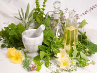 Fitoterapia - utilizarea plantelor medicinale in scop terapeutic