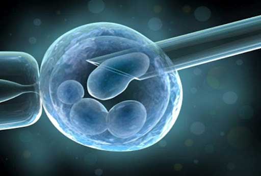 Pro si Contra recoltarii de celule stem din sange placentar