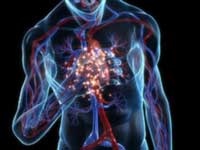 Celulele stem pot vindeca insuficienta cardiaca