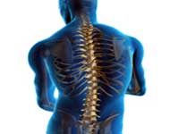 Cand va fi disponibil un tratament pentru leziunile maduvei spinarii